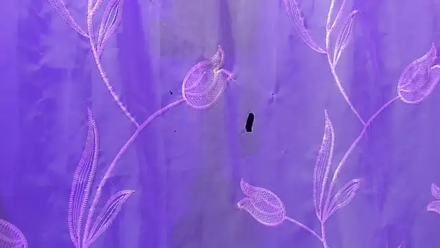 Show modela AngelDoll_1 na web-kameri