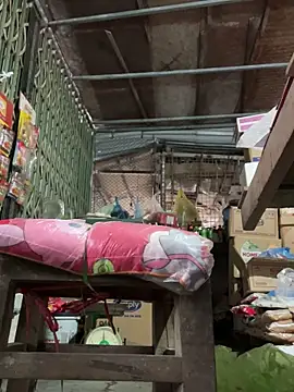 YANINA120 网络视讯表演