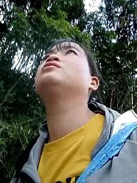 Noelle-e's Webcam Show