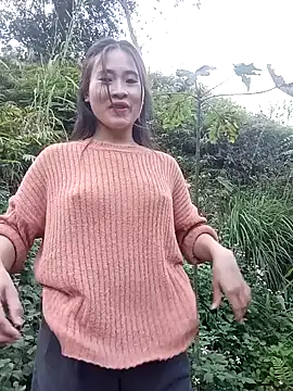 nolan-00 – Kamerová šou