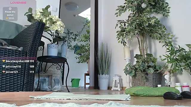 Squirtmania Live XXX-Chat