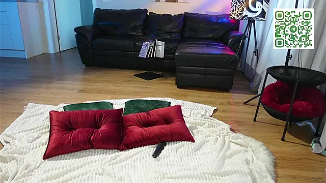 Show webcam de SpiceJessy