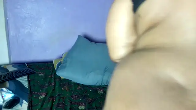 wilmaassylum 网络视讯表演