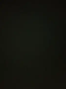 baeas-lan 网络视讯表演