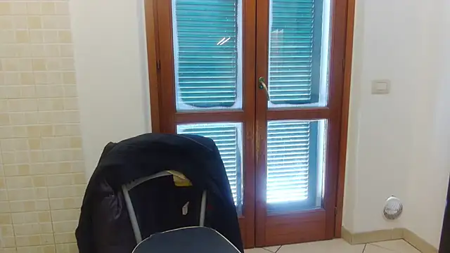 AMIRDIB2025 Show in webcam