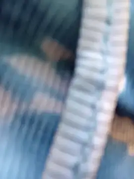 XXX chat uživo modela AnastiaBushlah