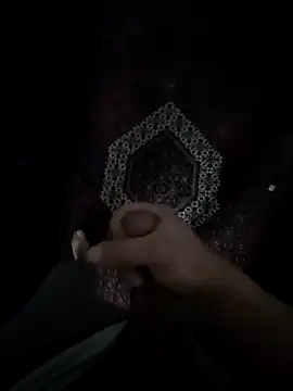 benford2026 Webcam show