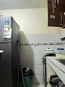 Chatroom XXX en direct de rosahills