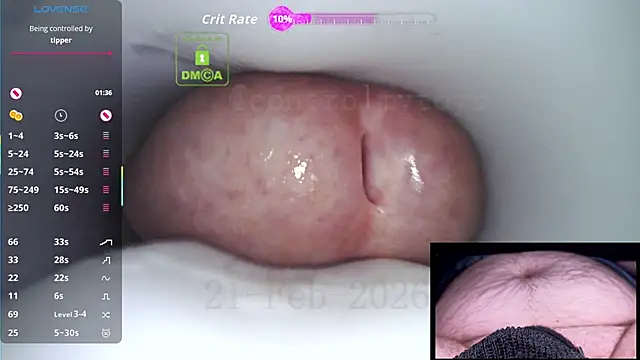 controlmytoys Webcam Show