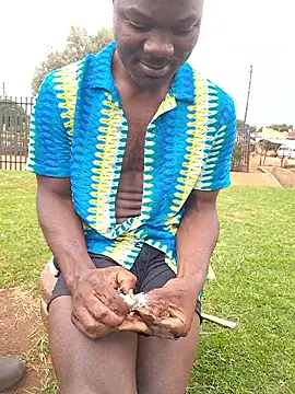 Petrossaのウェブカメラショー