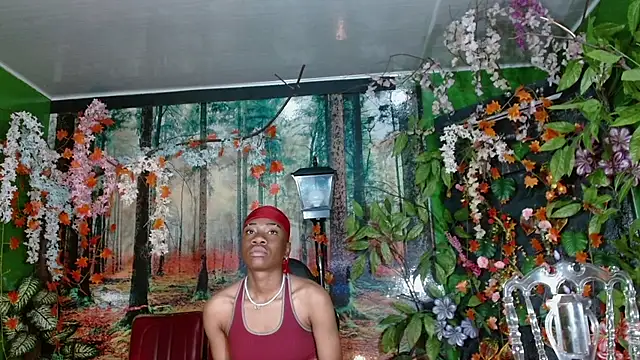 Show de webcam de Darkiin_FTM