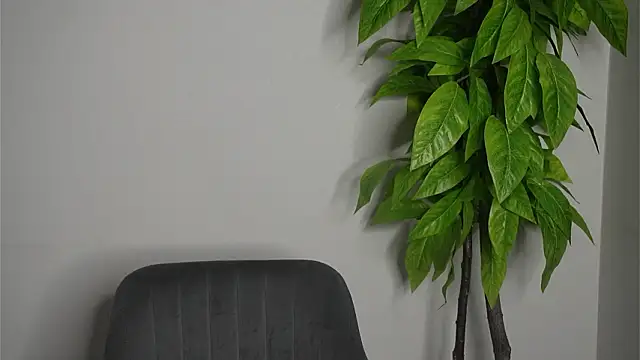 Chat XXX Live PatriaKeppler