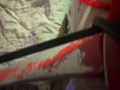 Show Webcam de HodgeVibes