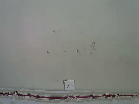 Chat XXX ao vivo de Rasta_tattooed