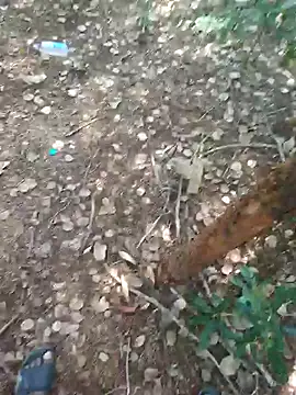 Chat XXX ao vivo de rameshmry1