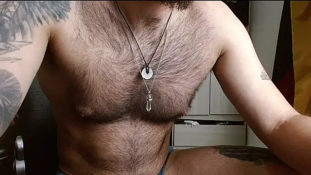 DominanThewolffn Webbikameraesitys