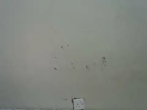 Rasta_tattooed 现场XXX聊天