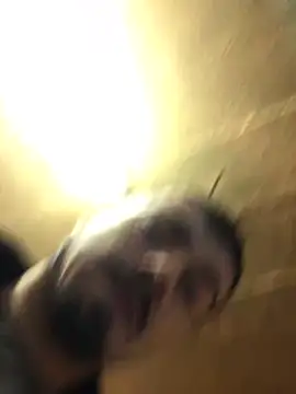 jaycoy22: διαδικτυακό σόου στην κάμερα