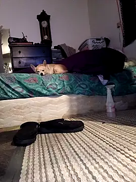 Chat XXX en directo de bimexpoexist