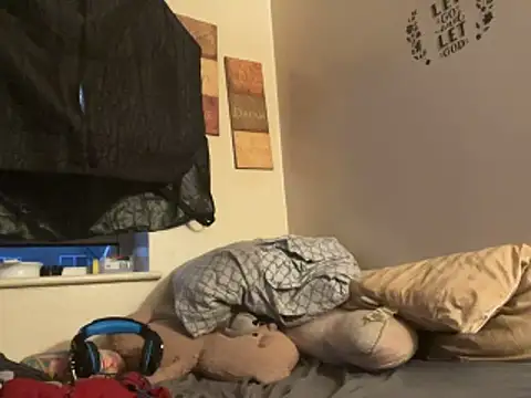 Show webcam de viceutk1