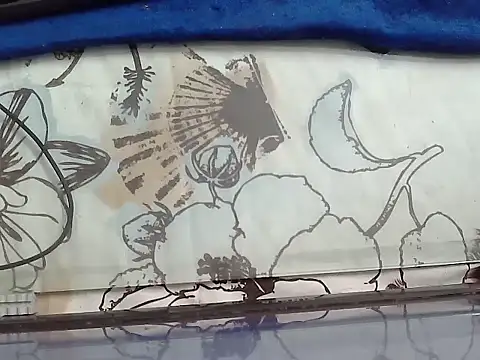 opsora221's Live XXX Chat