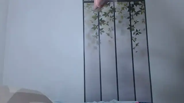 wildy1 Pertunjukan Webcam