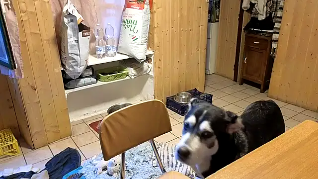 Онлайн чат XXX VanessaDoyle