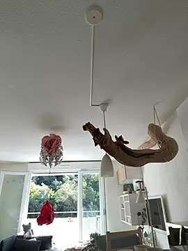 Amani_thewolf Live XXX-chat