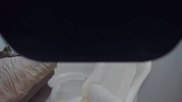 Czat XXX na żywo – AvisFlowers