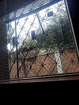 ratomau Live XXX-Chat