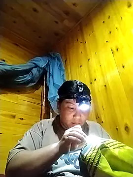 แชท XXX สดของ kussecka