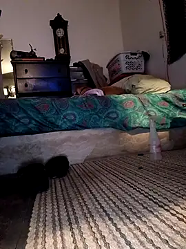 Show webcam de bimexpoexist