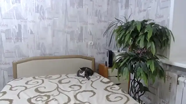 GinaQSoul 라이브 XXX 채팅