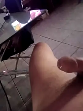 will1980のウェブカメラショー