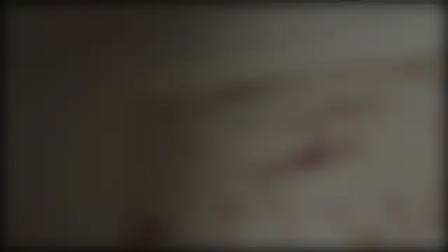 adelaide2026 Show Webcam