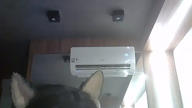 Show de webcam de SkinnyKitten