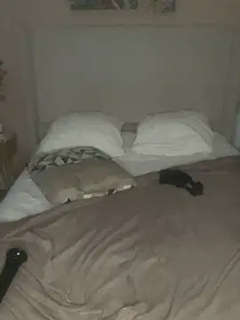 Show webcam de dreamgt