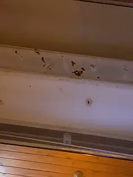 Chat +18 de Petebulimia ao vivo