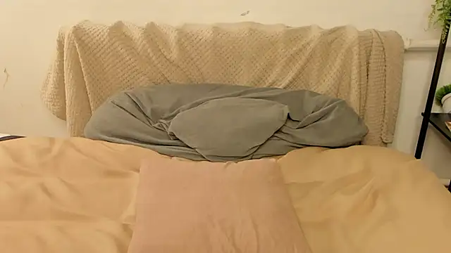 عرض كام LunarHollow