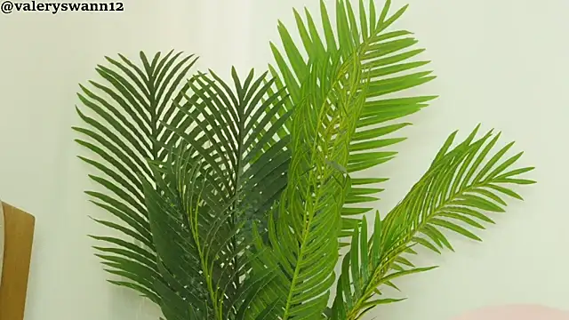 Valery_Swan1 – Live XXX-chat