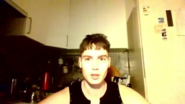 volkstein Show Webcam