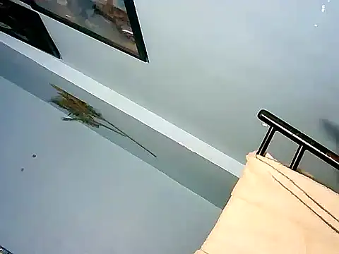 hollynicole Pertunjukan Webcam