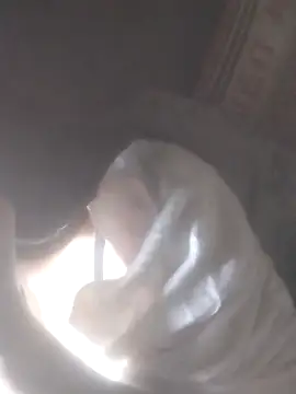 Yang-my- Pertunjukan Webcam