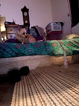 bimexpoexist: вебкам-шоу