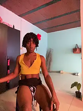 Show de AnelimDagota na webcam