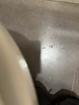 Turkishleo ওয়েবক্যাম শো