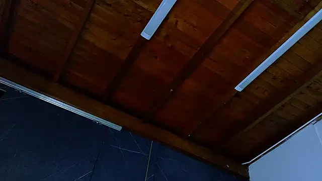 ALANNFERRERのウェブカメラショー