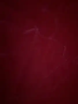 vietAnhzip 网络视讯表演