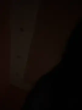 Flossy_Vettie: онлайн-секс-чат