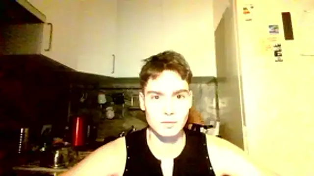 volksteinn Webbikameraesitys